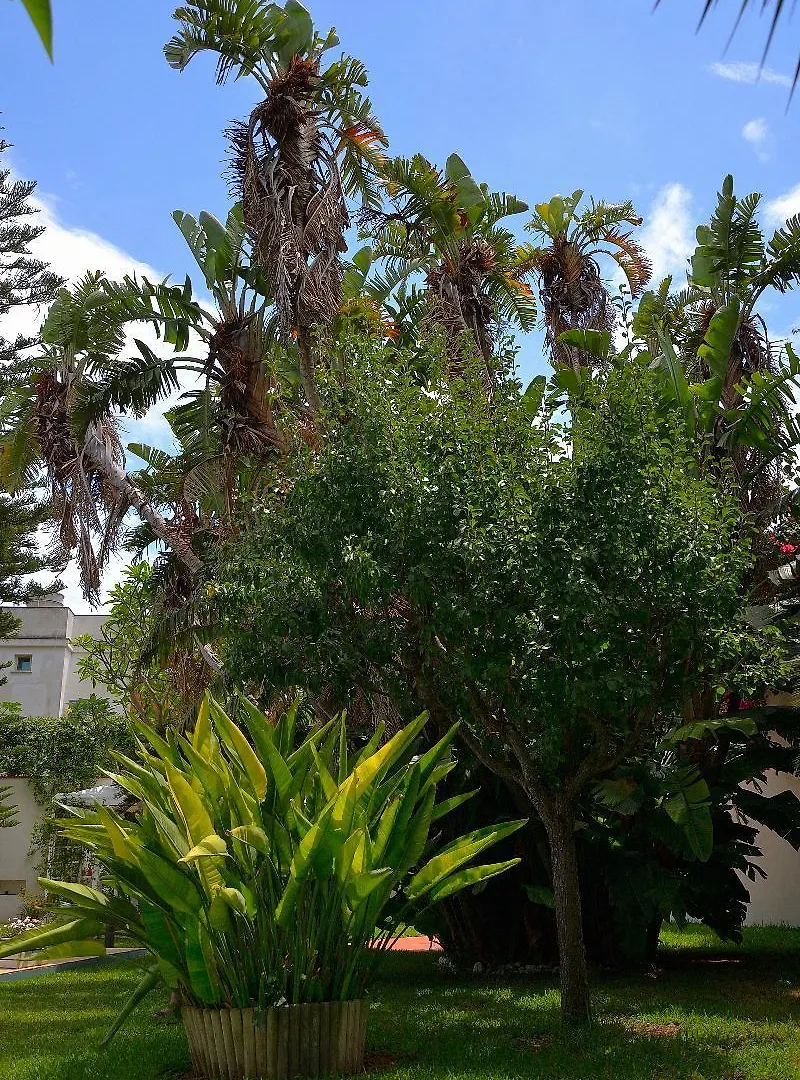 B&b Mondello Resort